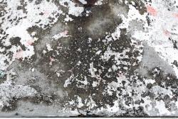 Photo of Various Textures